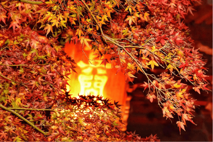 紅葉