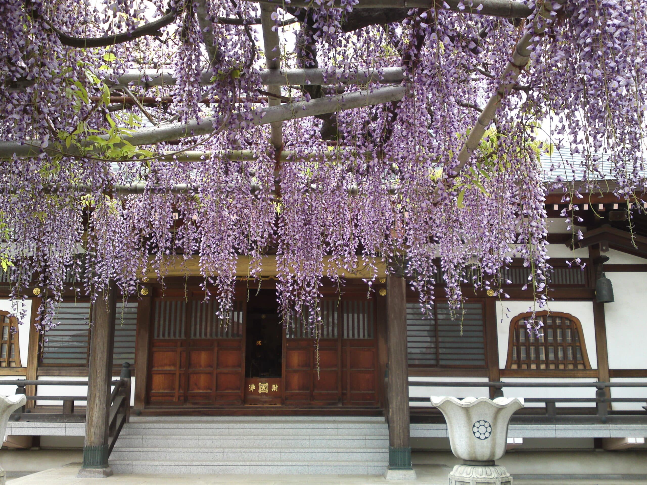高圓寺