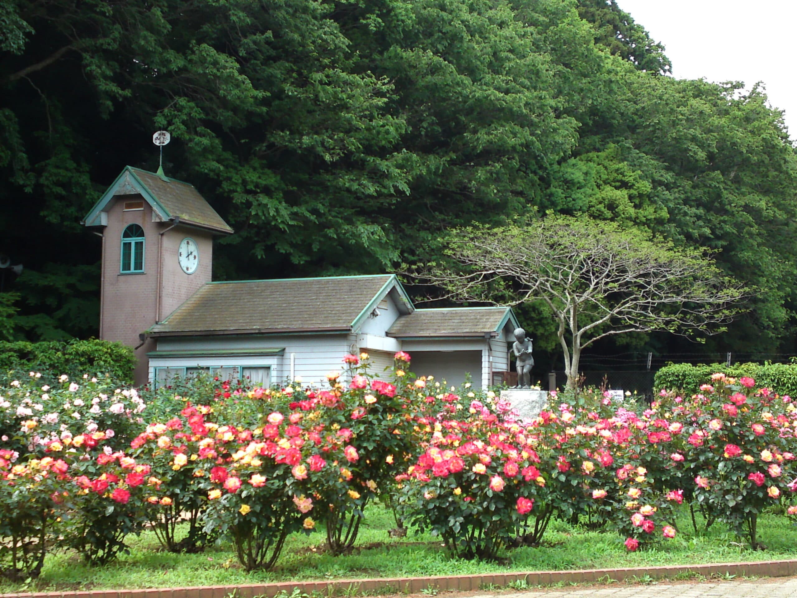 自然観察園・バラ園